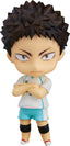 Nendoroid Haikyu!! Hajime Iwaizumi