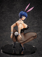 Shin Ikki Tousen Ryomou Shimei Bunny Version