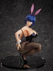 Shin Ikki Tousen Ryomou Shimei Bunny Version